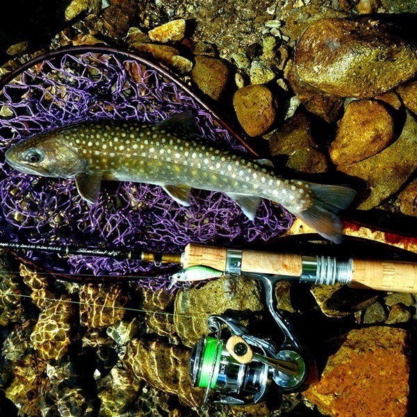 26 Silver Creek Trad